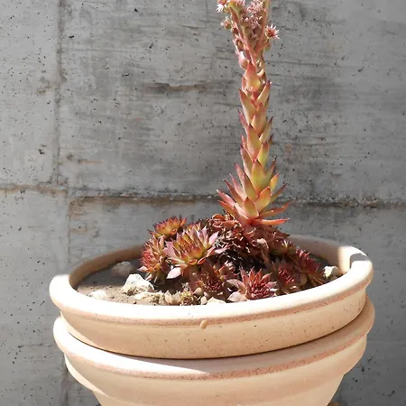 Okrug Gornji 13859a Apartment *